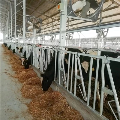 Headlock Lembu 750 mm Hot Galvanized
